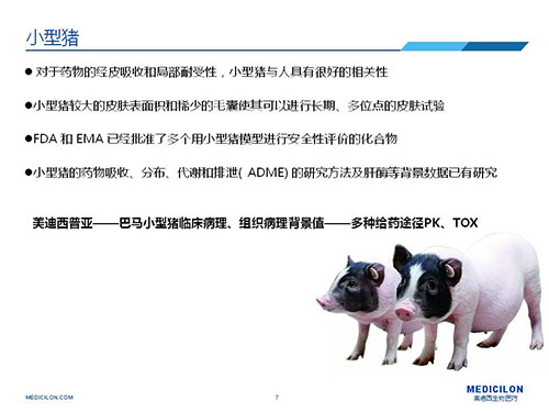 Ƥ��ͿĨ�������������������Զ���ѡ��С��������