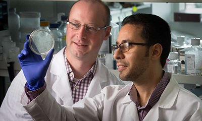 ����÷��MGM(�й���)��������