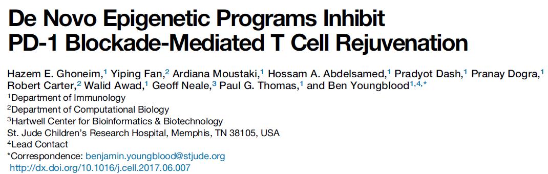 ����÷��MGM(�й���)��������