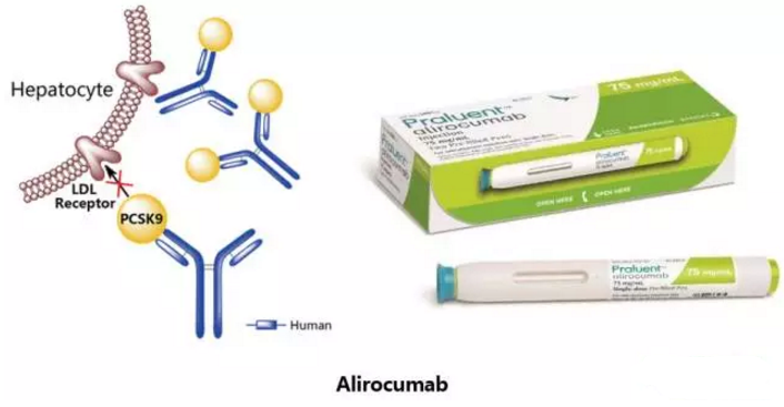 ÃÀ¸ß÷¡¤MGM(ÖйúÓÎ)¹ÙÍøÕýÍø