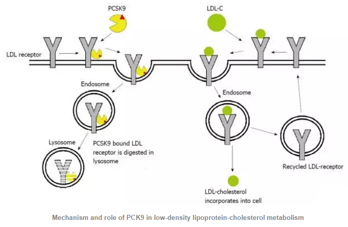 ÃÀ¸ß÷¡¤MGM(ÖйúÓÎ)¹ÙÍøÕýÍø