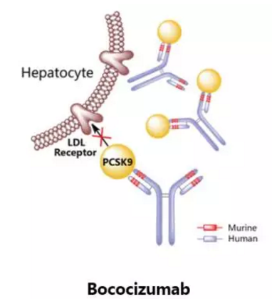 ÃÀ¸ß÷¡¤MGM(ÖйúÓÎ)¹ÙÍøÕýÍø