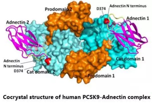 ÃÀ¸ß÷¡¤MGM(ÖйúÓÎ)¹ÙÍøÕýÍø