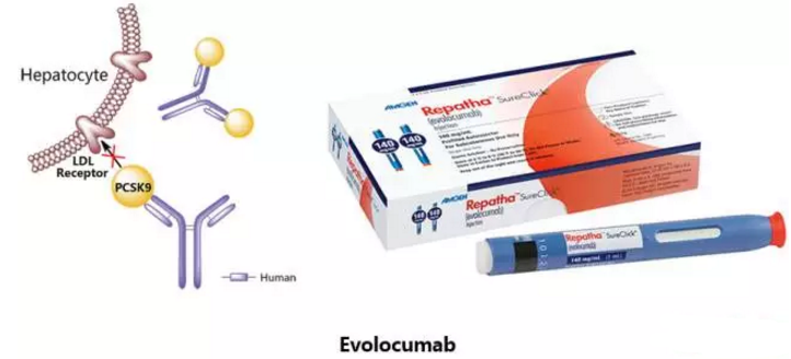 ÃÀ¸ß÷¡¤MGM(ÖйúÓÎ)¹ÙÍøÕýÍø