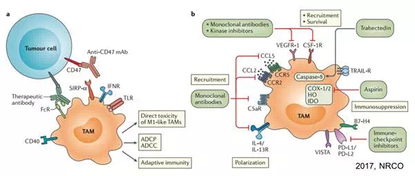 ����÷��MGM(�й���)��������