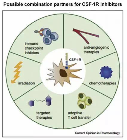 ����÷��MGM(�й���)��������