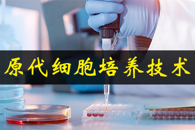 ԭ��ϸ����������