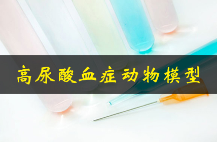 ������Ѫ֢����ģ��