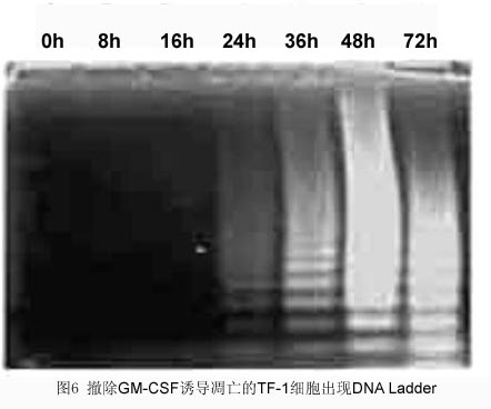 ÃÀ¸ß÷¡¤MGM(ÖйúÓÎ)¹ÙÍøÕýÍø