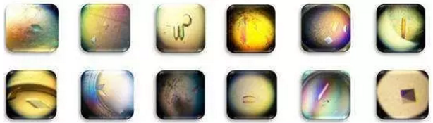 ÃÀ¸ß÷¡¤MGM(ÖйúÓÎ)¹ÙÍøÕýÍø