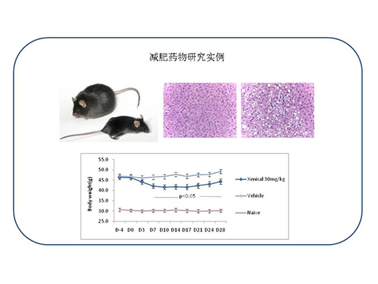 ����÷��MGM(�й���)��������