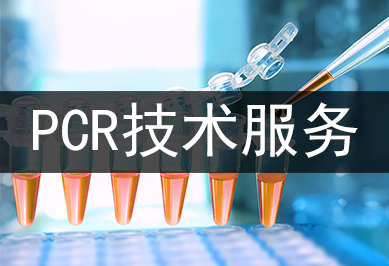 PCR����Ч��