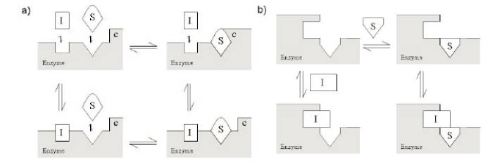 ����÷��MGM(�й���)��������