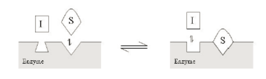 ����÷��MGM(�й���)��������