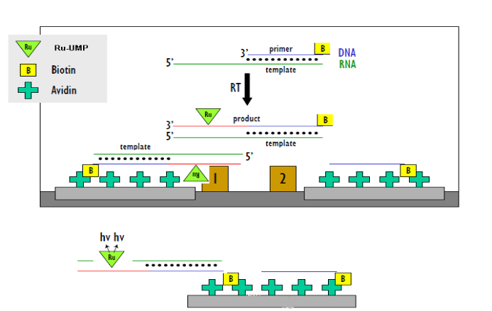 ����÷��MGM(�й���)��������