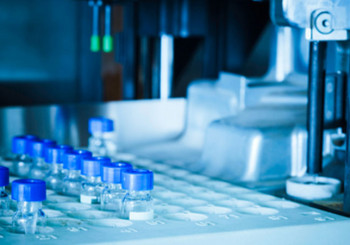 һ��������ӯ���������֣�������