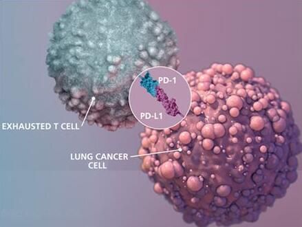 ����÷��MGM(�й���)��������