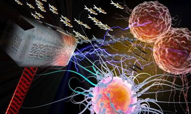 ����÷��MGM(�й���)��������