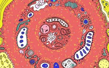 ����÷��MGM(�й���)��������