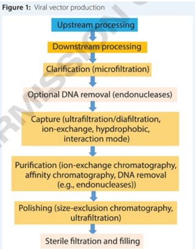 ����÷��MGM(�й���)��������