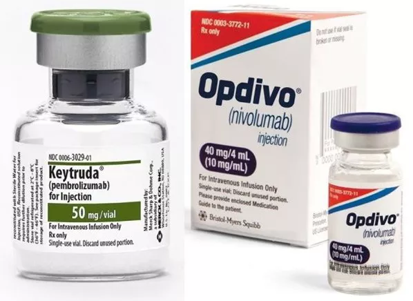 ����÷��MGM(�й���)��������