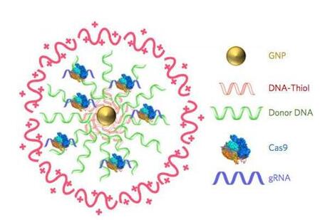 ����÷��MGM(�й���)��������