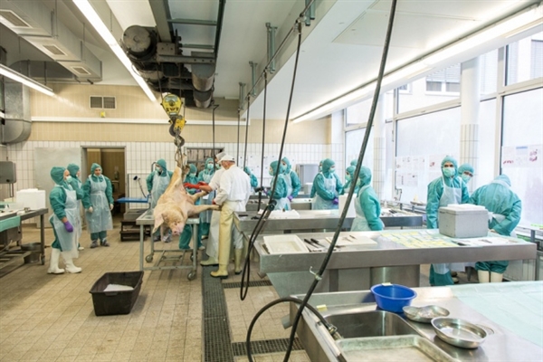 9�ɹ�����ҩע���ʮ��ǰ������������ҵ���ٸ������