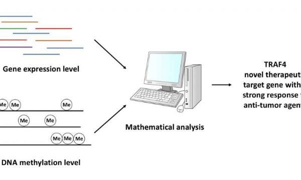 ����÷��MGM(�й���)��������