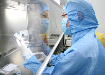 2017��1����ҩ���������ʣ�85�������ٴ�����������1����������