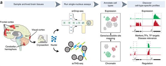 ÃÀ¸ß÷¡¤MGM(ÖйúÓÎ)¹ÙÍøÕýÍø