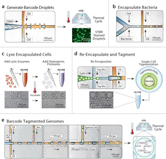 ÃÀ¸ß÷¡¤MGM(ÖйúÓÎ)¹ÙÍøÕýÍø