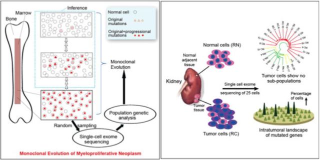 ÃÀ¸ß÷¡¤MGM(ÖйúÓÎ)¹ÙÍøÕýÍø