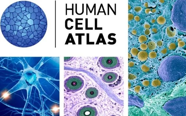 ÃÀ¸ß÷¡¤MGM(ÖйúÓÎ)¹ÙÍøÕýÍø