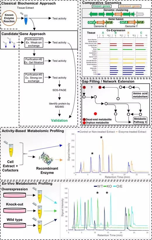 ����÷��MGM(�й���)��������