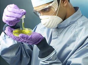 PD-L1��ƪ���ģ���֢�������ƾ���������ϸ���վ���������ϸ�������PD-L1��������������