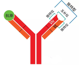 ����÷��MGM(�й���)��������