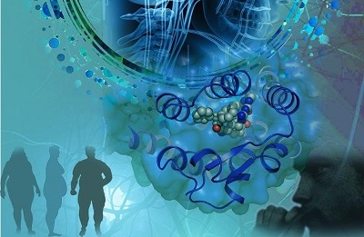 ���̻�������������ø��MAGL�����Ƽ����о�ϣ��