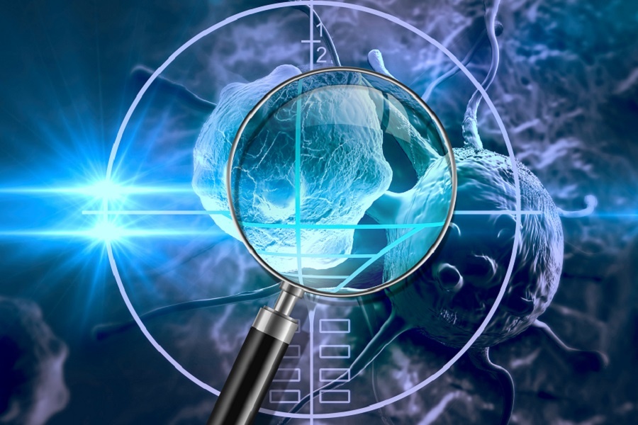 ����÷��MGM(�й���)��������