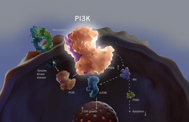 ����÷��MGM(�й���)��������