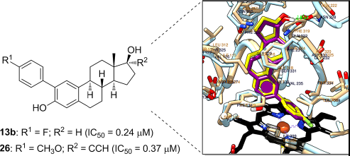 ����÷��MGM(�й���)��������