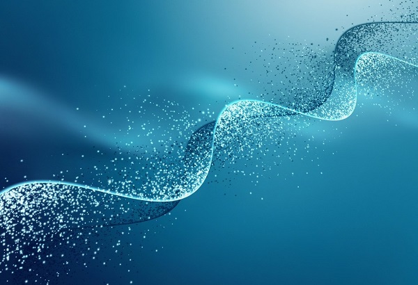 ����÷��MGM(�й���)��������