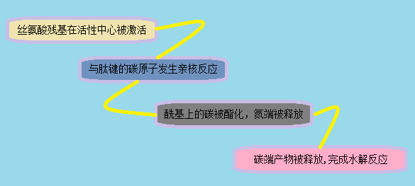 ����÷��MGM(�й���)��������