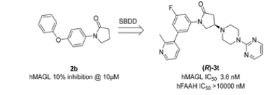 ����÷��MGM(�й���)��������