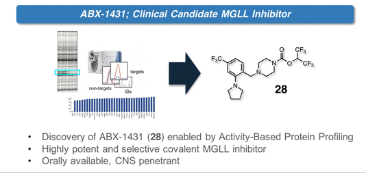 ����÷��MGM(�й���)��������