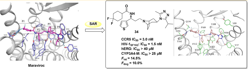 ����÷��MGM(�й���)��������