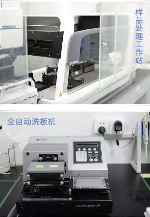 ����÷��MGM(�й���)��������