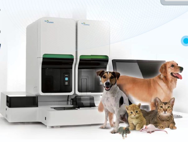 ����÷��MGM(�й���)��������