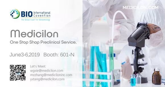 2019�������＼����� 