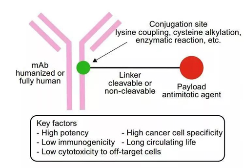 ����ż��ҩ��ṹģʽ