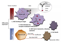 ǳ����ADCҩ��Ŀ���֮·